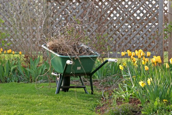 Flower Bed Cleanup Service in Rochester