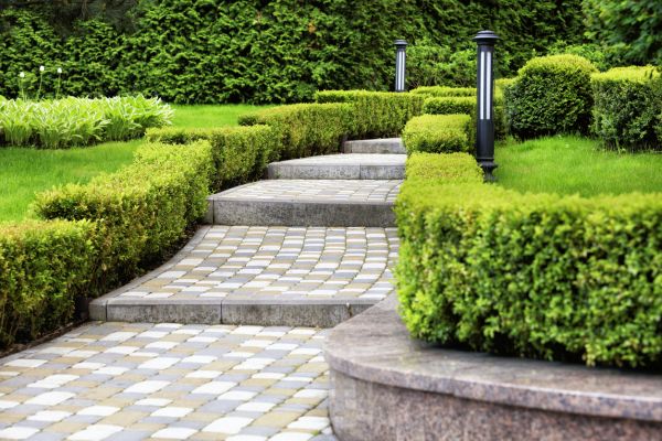 Backyard Remodeling in Rochester