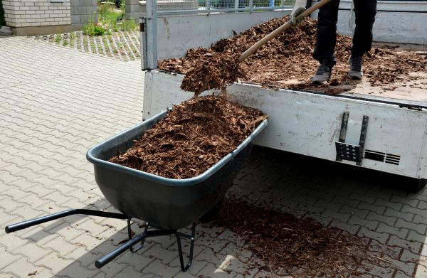 Bulk Mulch Delivery in Rochester