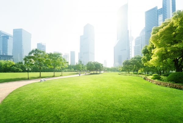 Commercial Landscape Maintenance in Rochester