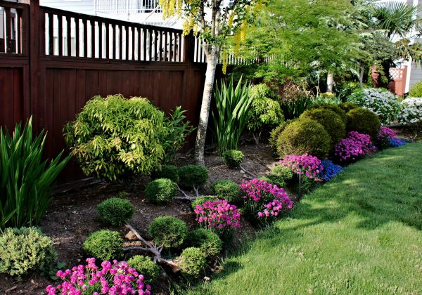 Garden Care Service in Rochester
