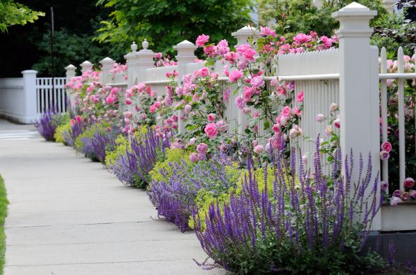 Garden Handyman Service in Rochester