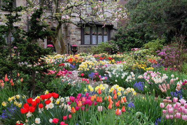 Garden Maintenance Service in Rochester