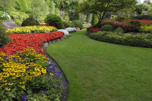 Landscaping Maintenance in Rochester