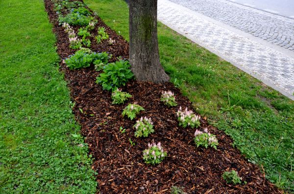 Mulch Replacement Service in Rochester
