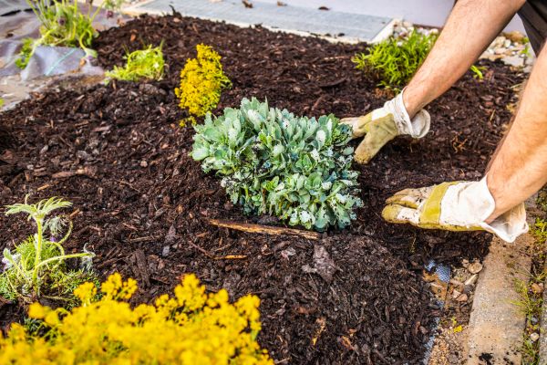 Weeding And Mulching in Rochester