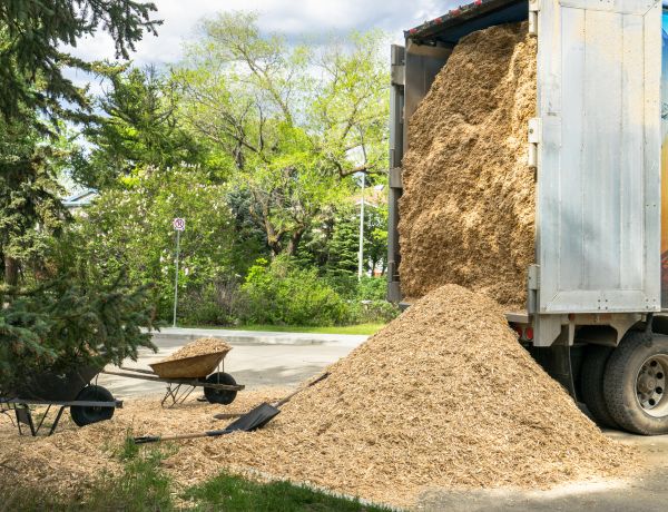 Wood Chips Delivery in Rochester