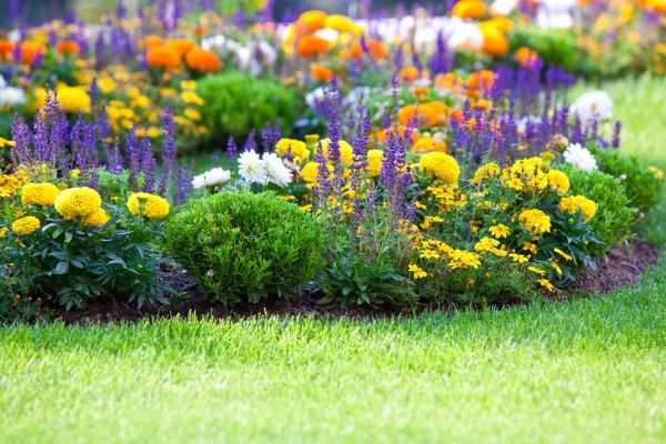 Garden Installation in Rochester