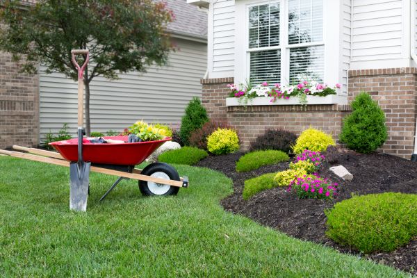 Landscape Maintenance Service in Rochester