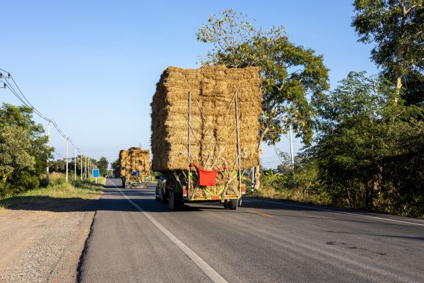 Pine Straw Delivery in Rochester