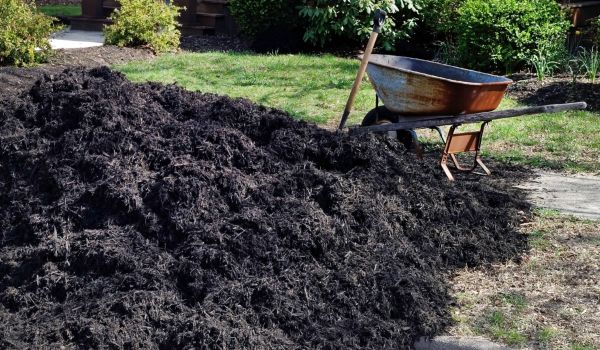 Black Mulch Delivery in Rochester