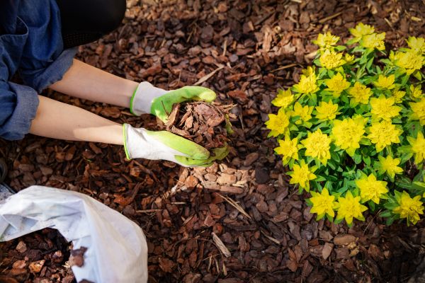 Garden Mulching in Rochester