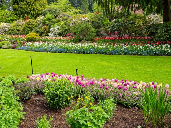 Residential Landscape Design in Rochester