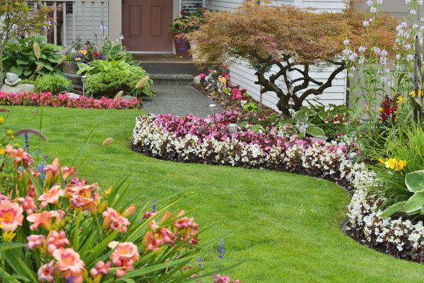Perennial Landscaping in Rochester
