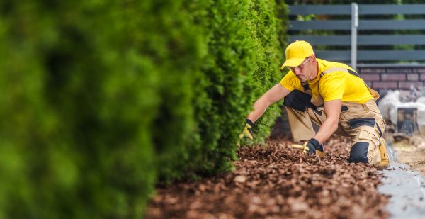 Cypress Mulch Installation in Rochester