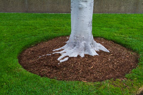 Brown Mulch Installation in Rochester