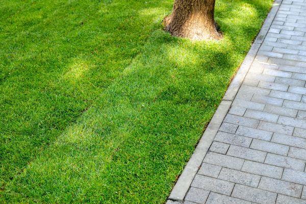 Border Stone Installation in Rochester