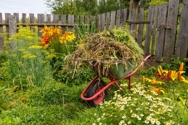 Garden Cleanup Service in Rochester