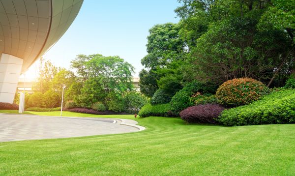 Business Landscape Design in Rochester