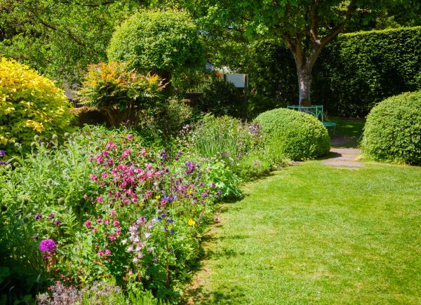 Yard Landscaping Service in Rochester
