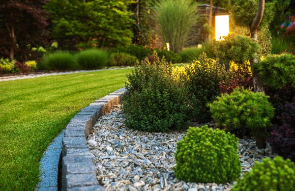 Landscaping Service in Rochester