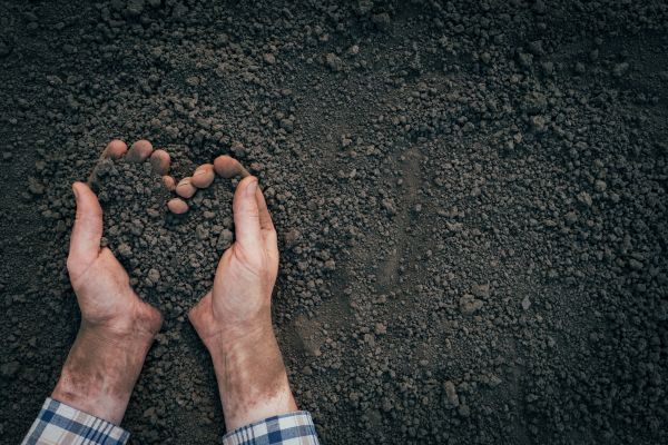 Soil Installation in Rochester