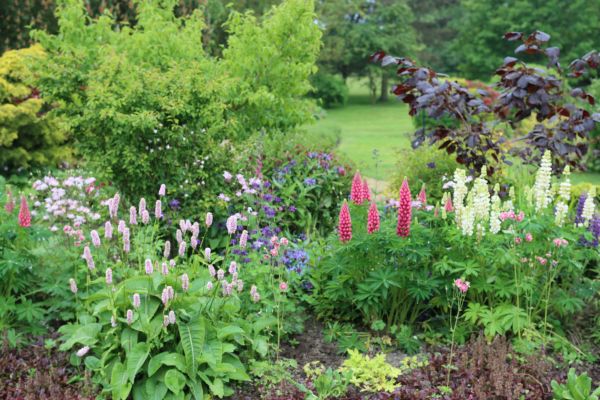 Flower Bed Planting in Rochester