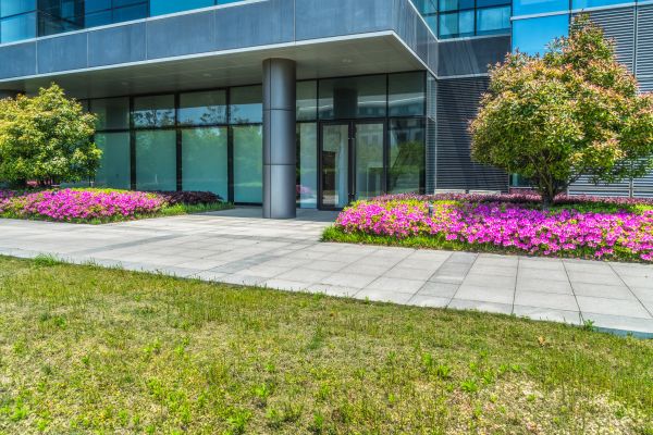 Commercial Gardening in Rochester