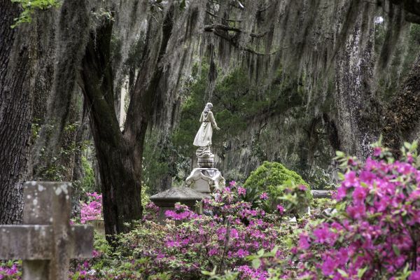 Cemetery Landscaping in Rochester