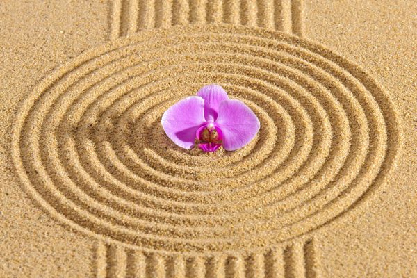 Sand Garden Landscaping in Rochester