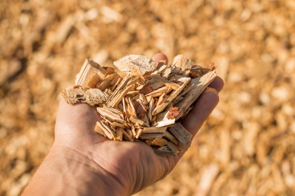 Wood Chips Spreading in Rochester