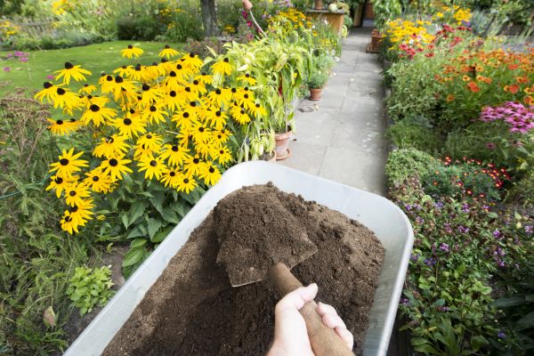 Topsoil Replacement in Rochester