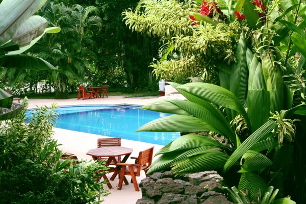 Pool Area Landscaping in Rochester