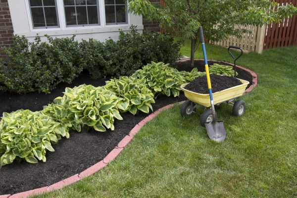 Landscape Mulching in Rochester