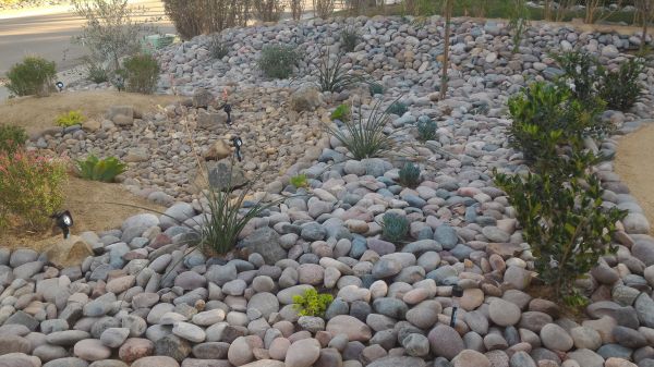 Yard Xeriscaping in Rochester