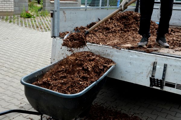 Cedar Mulch Delivery in Rochester