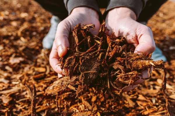 Bark Chips Delivery in Rochester