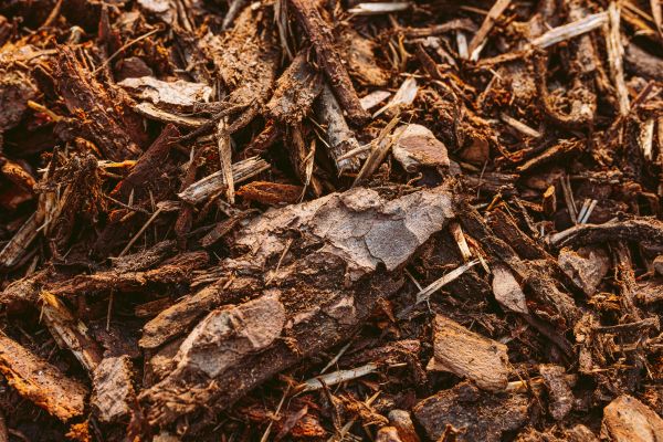 Bark Mulch Delivery in Rochester