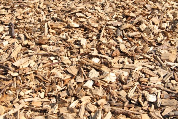 Wood Mulch Delivery in Rochester