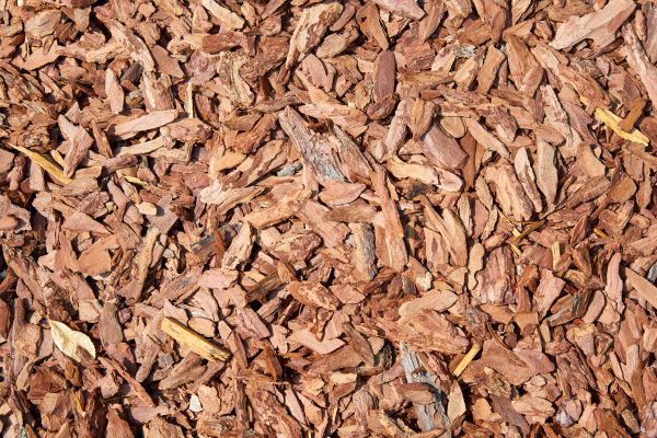 Pine Mulch Delivery in Rochester