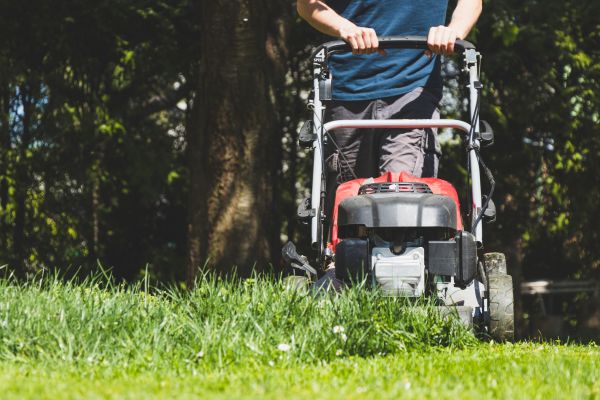 Garden Trimming Service in Rochester