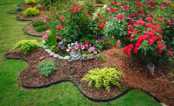 Floral Landscaping in Rochester
