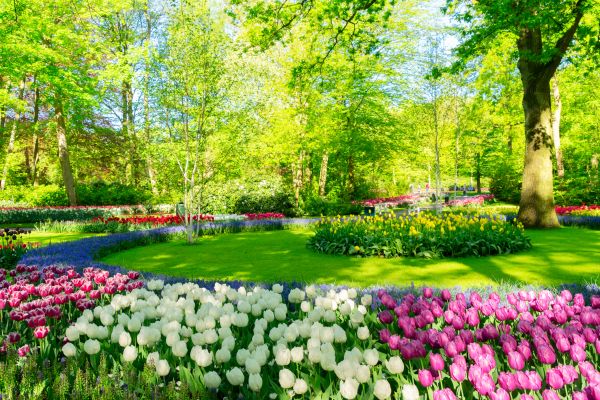 Flower Landscaping in Rochester