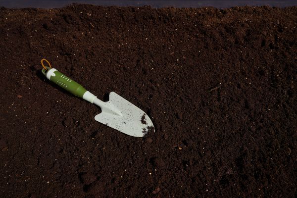 Rich Soil Delivery in Rochester
