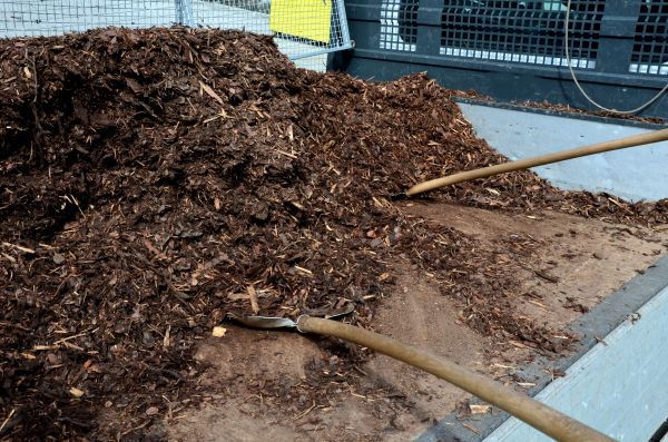 Cedar Bark Delivery in Rochester