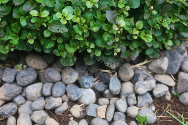 River Stone Installation in Rochester