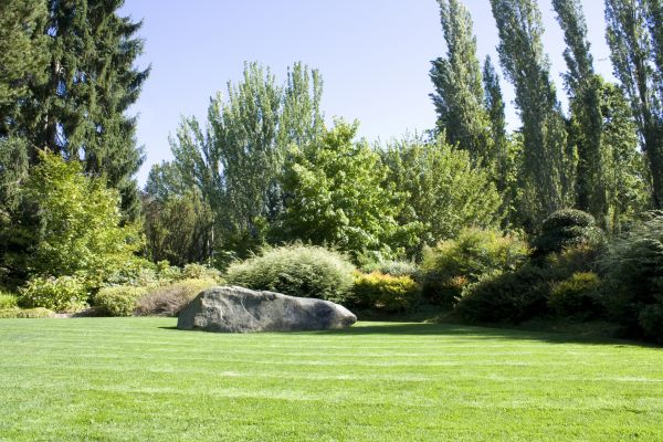 Yard Enlargement in Rochester