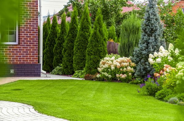 Spring Landscaping in Rochester