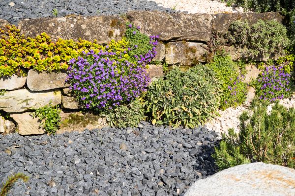 Landscaping Rocks Installation in Rochester