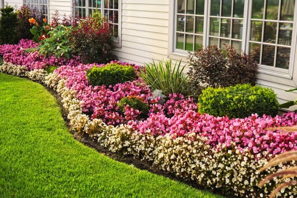 Garden Landscape Design in Rochester